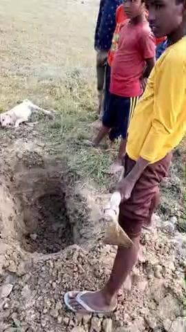 सभी ड्राइवर भाइयों से निवेदन है अपना वाहन देखभल के चलाएं जिससे कोई भी पशु पक्षी आपकी बहन से ना मारे |