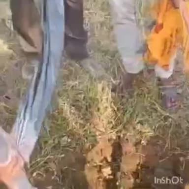 नवाटोला माझापारा में शराब के नशे में विवाद के बाद पत्नी की हत्या कर शव कुएं में फेंका गया