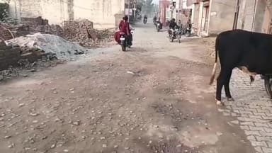 ਮਮਦੋਟ: ਸ਼ਹਿਰ ਦੇ ਦੁਕਾਨਦਾਰਾਂ ਨੇ ਸੀਵਰੇਜ ਦਾ ਕੰਮ ਬੰਦ ਹੋਣ ਅਤੇ ਕਾਰੋਬਾਰ ਤੇ ਪੈ ਰਹੇ ਪ੍ਰਭਾਵ ਨੂੰ ਲੈ ਕੇ ਜਾਗਰੂਕ ਪੈਦਾ ਕਰਨ ਲਈ ਕੱਢਿਆ ਰੋਸ ਮਾਰਚ