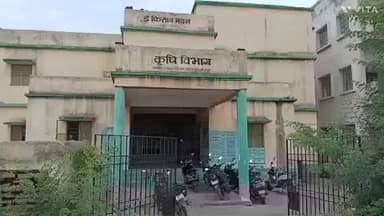 गड़हनी: गड़हनी प्रखंड में पैक्स ने एक सप्ताह में मात्र 60 क्विंटल धान की खरीद की