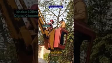 चित्तरंजन में मिला विशालकाय 40 कि. वजनी अजगर, उतरा गया क्रेन के सहारे...#khabar30live