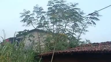 ଜମନକିରା: ପୁକୁଡ଼ା ଠାରେ ମାଝୀ ରାସ୍ତା ଉପରେ ଛିଣ୍ଡିଲା ବିଦ୍ୟୁତ ତାର, ଅଳ୍ପକେ ବର୍ତିଲେ ଯାତ୍ରୀ