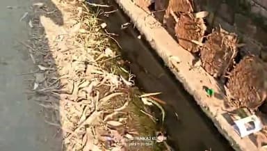 मदनापुर ब्लॉक के ग्राम धौरेरा में डेंगू व मलेरिया को दावत दे रही वहा की गलियां व नालियां
रिपोर्टर// नरवीर कुमार