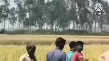 জয়পুর: নিখোঁজ ব্যক্তির দে-হ উদ্ধার ময়নাপুর স্টেশন সংলগ্ন পাকা ধানের জমি থেকে, ঘটনায় চাঞ্চল্য এলাকায়