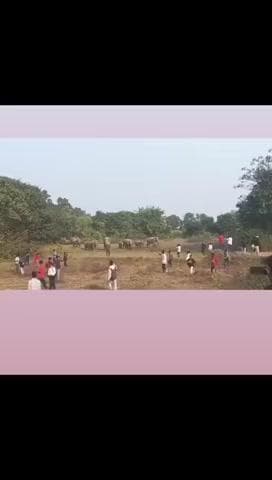 📢 ताज़ा खबर — सुपा महुवा टोली, भरनो थाना, गुमला #jharkhand#ranchi#gumla#lohardaga#bharno#