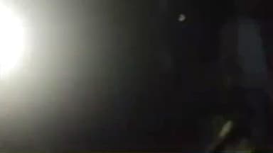 चकाई: चकाई के बेहरा जंगल में हाथियों का आतंक, ग्रामीण रातभर जागते रहे