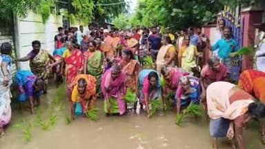 கடலூர்: சாலையை சீரமைக்க கோரி மனக்குப்பத்தில் நாற்று நடும் போராட்டம்