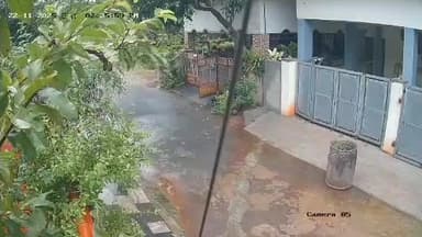 அகஸ்தீஸ்வரம்: தொல்லவிளையில் சிறுமியை கடித்து குதறிய வளர்ப்பு நாய்.இருவர் மீது வழக்குப்பதிவு.