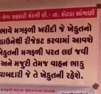 કોટડા સાંગાણી: કોટડાસાંગાણી નાં રામોદ ગામે ટેકા નાં ભાવે મગફળી નું કેન્દ્ર સરુ કરવામાં આવ્યું