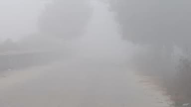 रादौर: कोहरे का मौसम शुरू, वाहन चालकों ने सड़कों पर सफेद-पीली पट्टी लगाने की मांग उठाई