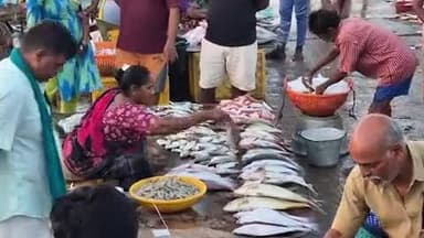 கடலூர்: முதுநகரில் மீன்கள் வாங்க ஏராளமானோர் கூடினர். கிலோ வஞ்சிரம் ஆயிரத்திற்கு விற்பனை.