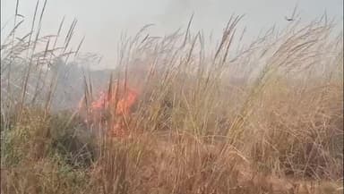 भुसावर: हिंगोटा के पास बाणगंगा नदी के चारागाह भूमि में लगी आग, दमकल की सहायता से पाया गया आग पर काबू