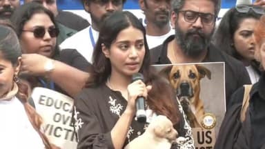 எழும்பூர்: தெரு நாய்களை பாதுகாக்க வேண்டும் - சித்ரா திரையங்கு அருகில் நடிகை நிவேதா பெத்துராஜ் பேச்சு