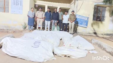 રાપર: ભીમાસર ભૂટકીયા ખાતે ગાંજાની ખેતીનો પર્દાફાશઃ52 લાખનો મુદામાલ આડેસર પોલીસે જપ્ત કરી એકની ધરપકડ