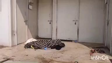 मनोहरपुर: मनोहरपुर रेल परिसर की पार्किंग में एक विक्षिप्त व्यक्ति मृत पाया गया