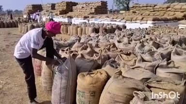 गुरूर: सेवा सहकारी समिति मर्यादित सोरर में 2766 क्विंटल धान की खरीदी, आंदोलनरत कर्मचारी सोमवार से करेंगे ड्यूटी जॉइन