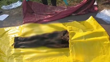 पानसेमल: खेतिया थाना क्षेत्र में मिला एक व्यक्ति का कंकाल, पुलिस कर रही है शिनाख्त