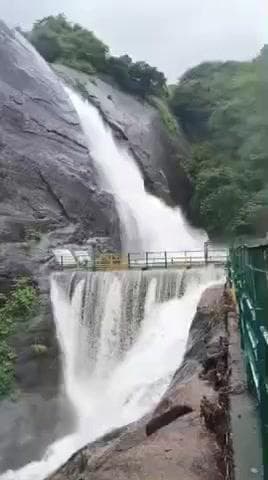 தென்காசி: தொடர் மழை காரணமாக அனைத்து அருவிகளிலும் வெள்ளப்பெருக்கு குளிக்க தடை நீடிப்பு