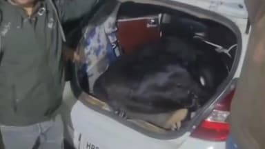 पलवल: गौपाल के देश में गौ बेबस, गौ तस्करों के आगे गौ पालक लाचार, गौ रक्षकों ने तस्करी विफल की