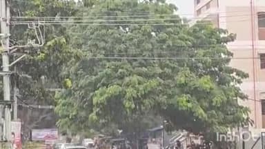 மதுரை தெற்கு: உலகக் கோப்பை ஹாக்கி போட்டி நடைபெறும் ரேஸ்கோர்ஸ் சாலையில் மழைநீர் தேங்கியதால் வாகனங்கள் செல்ல முடியாமல் தவிப்பு