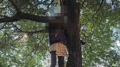 తాడ్వాయి: కనకల్ గ్రామ శివారులో చెట్టుకు ఉరివేసుకొని ఓ వ్యక్తి మృతి, కేసు నమోదు చేసి దర్యాప్తు చేపడుతున్న : ఎస్సై నరేష్