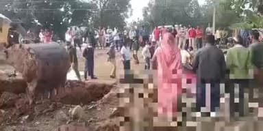 चिनिया: हथिनी की मौत के बाद पोस्टमार्टम में मिला अजन्मा बच्चा, वन विभाग दंग, दुर्घटना का दर्द हुआ दोगुना