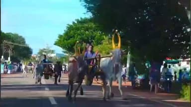 காளையார்கோவில்: காளையார்கோவிலில் மருதுபாண்டி குருபூஜை: மாட்டு வண்டி எல்லை பந்தயம் – 47 ஜோடி மாடுகள் பங்கேற்பு