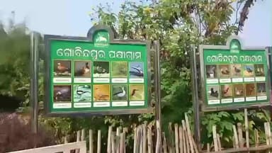 ଅମ୍ବାଭୋନା: ପଶ୍ଚିମ ଓଡିଶା ର ଚିଲିକା ଗୋବିନ୍ଦପୁର ରେ ପିକନିକ ପାଇଁ ସବୁ ଅଂଚଳ ରୁ ବଢୁଛି ଦର୍ଶକ ଙ୍କ ଭିଡ଼, ଦେଖନ୍ତୁ ପ୍ରତିକ୍ରିୟା