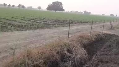 पोलायकलां: ग्राम ह्ड़लाय कलां में पंचायत ने 5 बीघा चरागाह भूमि से हटाया अतिक्रमण, गौमाता के लिए तैयार की जमीन