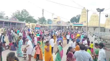 காஞ்சிபுரம்: காஞ்சிபுரம் கச்சபேஸ்வரர் திருக்கோவிலில் கார்த்திகை மாதம் கடை ஞாயிறு வழிபாடு