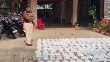 रजौली: जॉब जलाशय के जंगल से 400 पाउच शराब बरामद, तस्कर फरार