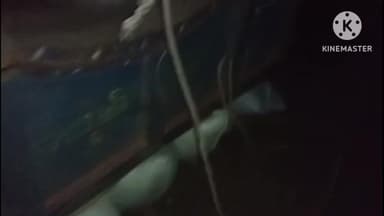 थरथरी: बेरमा गांव के पास ट्रैक्टर की ट्रॉली पलटने से मजदूर की मौत