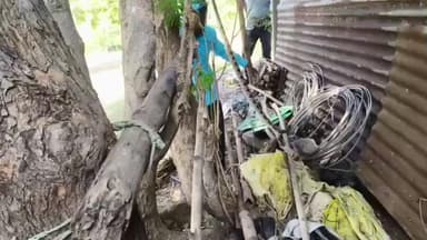 गंगाखेड: शेताखाड्यावर निघाला अति विषारी घोणस साप : सर्प मित्रांनी सापास रेस्क्यू करून केले सर्वांना भयमुक्त