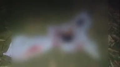 पताही: देवापुर गांव में देवता पूजन के समय ट्रैक्टर से गिरकर एक बच्चे की हुई मौत, काफी देर बाद पुलिस ने शव किया बरामद