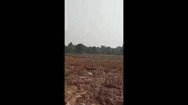 বিনপুর ১: হাতির তান্ডব লালগড় রেঞ্জে,ফসল নষ্টের আশঙ্কায় মাথায় হাত কৃষকদের