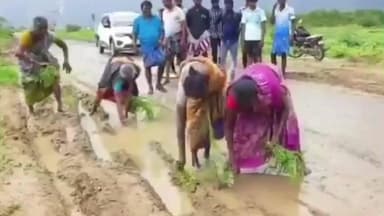 ஓட்டப்பிடாரம்: முள்ளூர் முதல் சந்திரகிரி வரை உள்ள சாலை மோசமாக உள்ளதால் அப்பகுதி மக்கள் நாற்று நடும் போராட்டம் நடத்தினர்