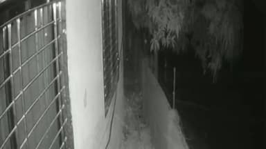 માંડવી: આંબોલી ખાતે નારી સંરક્ષણ ગૃહ માંથી બાંગ્લાદેશી મહિલા ભાગી ગઈ, CCTV ફૂટેજ આવ્યા સામે.