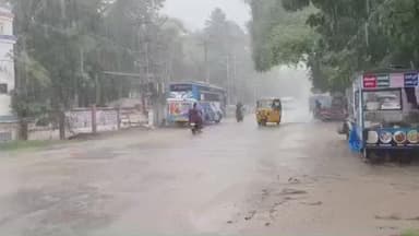 விருதுநகர்: விருதுநகர் மாவட்டத்தில் தொடர் கனமழை காரணமாக ஒரு நாள் மட்டும் பள்ளிகளுக்கு விடுமுறை அளித்து ஆட்சியர் உத்தரவு