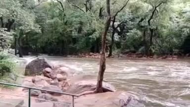 நாங்குநேரி: களக்காடு தலையணையில் சுற்றுலா பயணிகள் குளிக்க 5வது நாளாக தடை. வனத்துறை அறிவிப்பு.