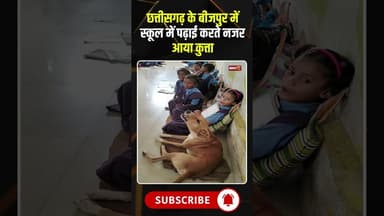 छत्तीसगढ़ के बीजपुर में स्कूल में पढ़ाई करते नजर आया कुत्ता #dog #dogeshbhai #dogviral #viralvideo