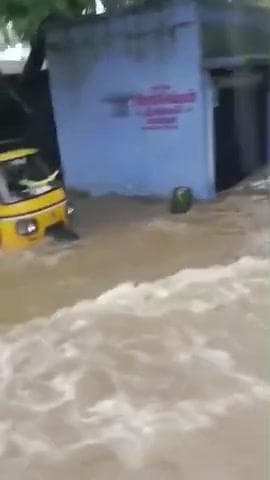 ஆலங்குளம் பகுதியில் பெய்த கனமழையால் தண்ணீரில் மிதக்கும் காட்சி