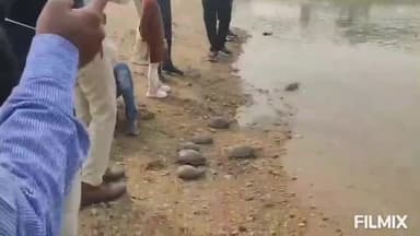 मुरैना: ग्वालियर पुलिस और वन विभाग ने संयुक्त कार्रवाई में 17 कछुओं को ज़ब्त कर चम्बल नदी में छोड़ा: एसडीओ