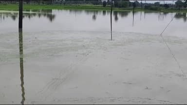 தஞ்சாவூர்: தொடர் மழையால் இடுப்பளவு தண்ணீரில் மூழ்கிய சம்பா தானடி இளம் நாற்றுகள் ! தஞ்சாவூர் அருகே விவசாயிகள் வேதனை