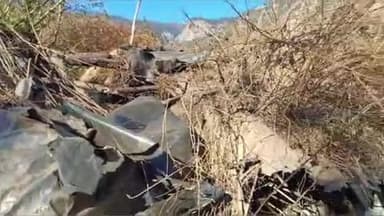 नरेन्द्रनगर: भटवाड़ी के क्यार्क गांव में भालू ने गौशाला की छत तोड़कर बांधी एक गाय को मौत के घाट उतार दिया, दो बेल घायल