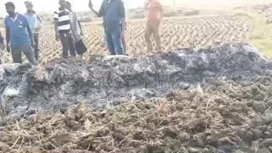 রামপুরহাট ১: জমিতে থাকা পাকা ধানের গাদায় আগুন ধরিয়ে পুড়িয়ে দিল দুষ্কৃতকারীরা, কুসুমডই গ্রামে