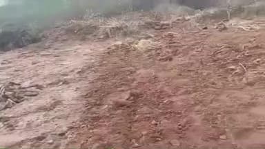 चिनिया: 20 हाथियों का झुंड गांव में घुसा, सैकड़ों बोझा धान बर्बाद, किसानों में दहशत