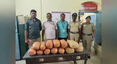 சேலம்: பொம்மிடி ரயில்வே ஸ்டேஷனில் ஏரி சோதனை தன்பாத் ஆலப்புழா எக்ஸ்பிரஸ் ரயில் கடத்திய 17 கிலோ கஞ்சா பறிமுதல்