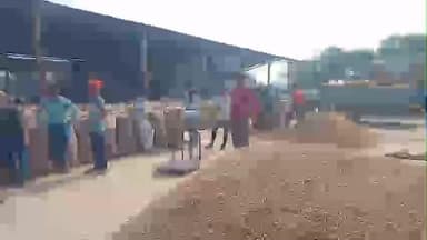 વિજાપુર: વિજાપુર એપીએમસી તમાકુ માર્કેટ માં ટેકા ભાવે મગફળીની ખરીદીની ૪૨,૨૦૦ આવક નોંધાઈ