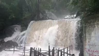 உத்தமபாளையம்: சுருளி அருவியில் வெள்ளப்பெருக்கு - பொதுமக்கள் சுற்றுலா பயணிகள் குளிக்க வனத்துறை தடை விதிப்பு