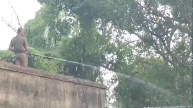 নারায়ণগড়: আম্বিডাঙ্গর এলাকায় পাখিকে বিষ খাইয়ে মারার ঘটনায় ঘটনাস্থলে এলো দমকলের একটি ইঞ্জিন